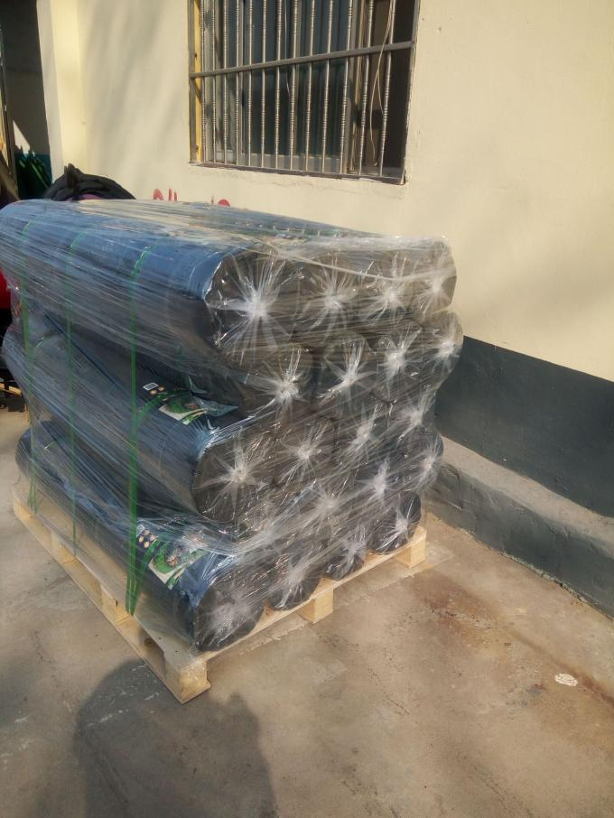 Negro pl&aacute;stico tejido Pp de la estera de la cubierta de tierra de la agricultura ultravioleta del geotextil de Stablizer 70-100gsm 2
