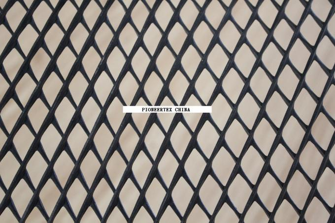 Geonet 2D para muro de contenci&oacute;n de capa de drenaje de protecci&oacute;n de pendientes 1