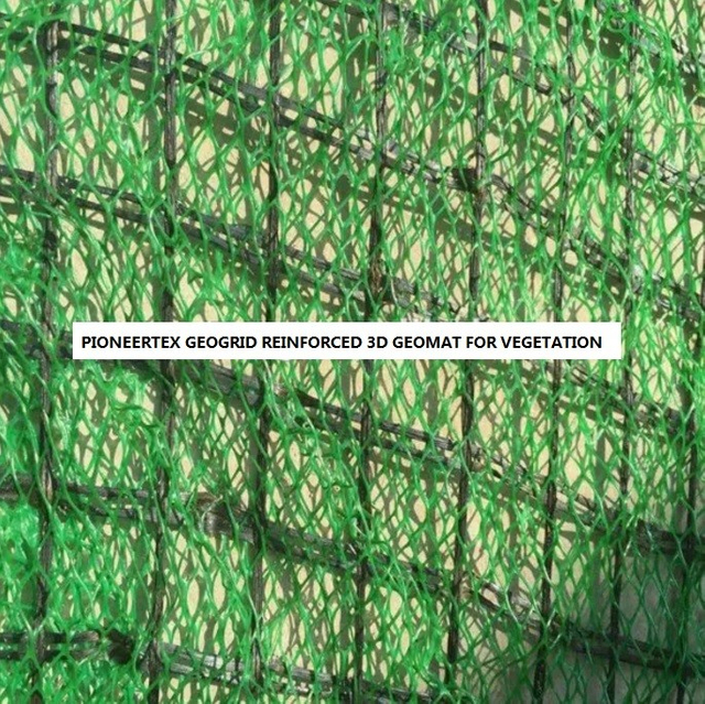 Manta gruesa reforzada Geogrid del control de la erosión de los PP de 3D 5m m para la protección de la pendiente