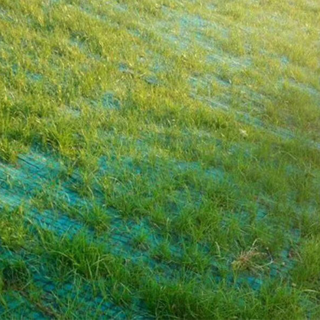 Manta de control de erosión de fibra de coco (estera de refuerzo de césped) para protección de pendientes y vegetación