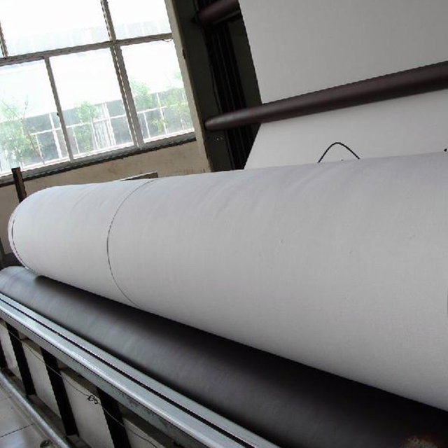 Geotextil no tejido del sacador de aguja del filamento del ANIMAL DOMÉSTICO de alta resistencia de PIONEERTEX