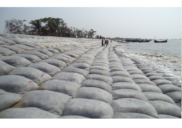 El geotextil no tejido del sacador de aguja del poliéster de alta resistencia empaqueta Geobags del limo